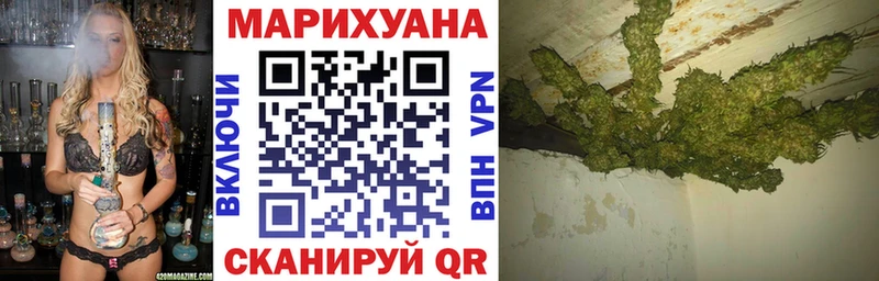 МАРИХУАНА сатива Жердевка